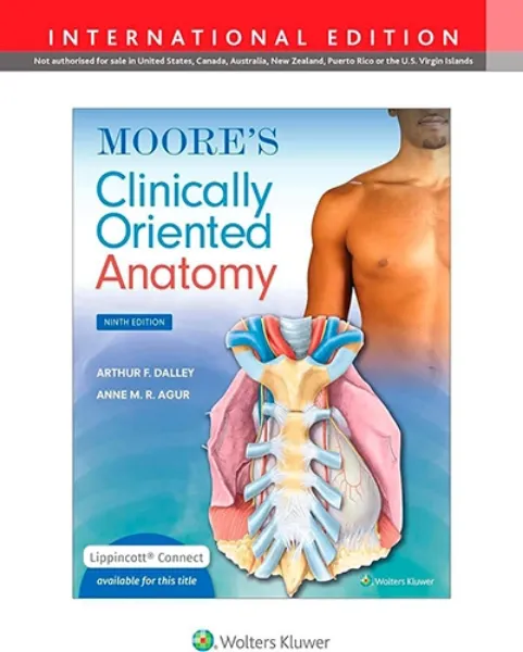 Imagem de Moore's Clinically Oriented Anatomy