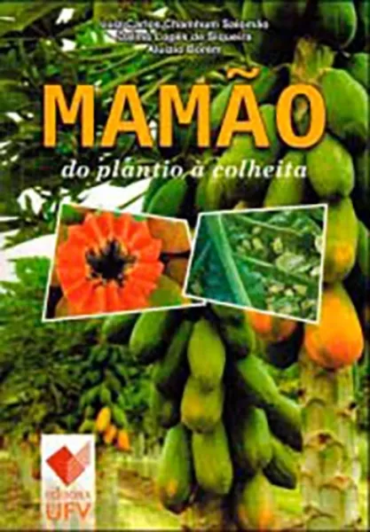 Imagem de Mamão - Do Plantio à Colheita