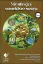 Picture of Book Soja - Estratégias e Sustentabilidade Produtiva