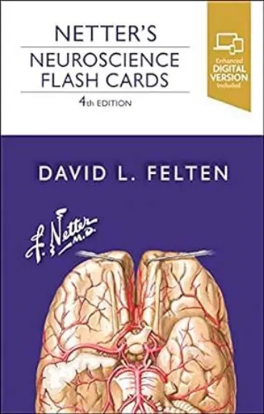 Imagem de Netter's Neuroscience Flash Cards