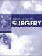 Imagem de Advances in Surgery 2022