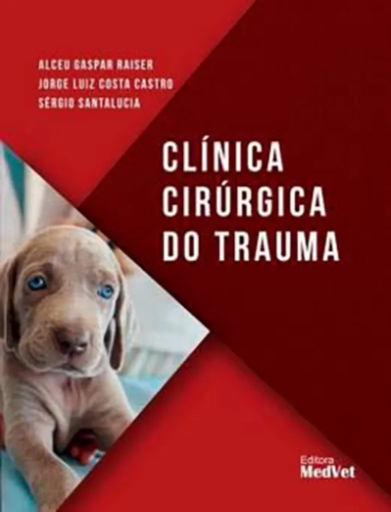 Imagem de Clínica Cirúrgica do Trauma