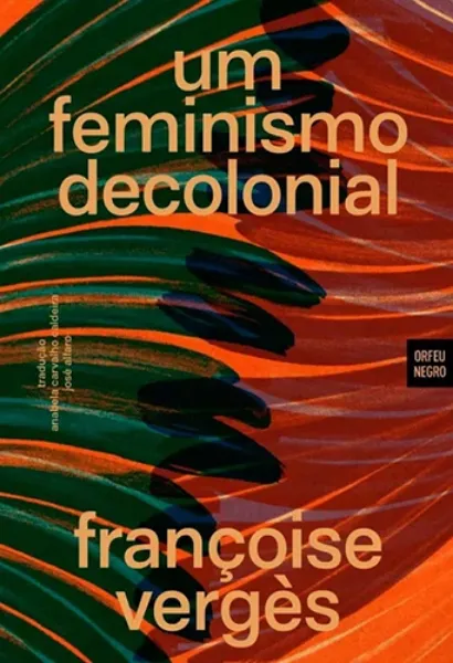 Imagem de Um Feminismo Decolonial