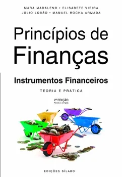 Imagem de Princípios de Finanças - Instrumentos financeiros - Teoria e Prática