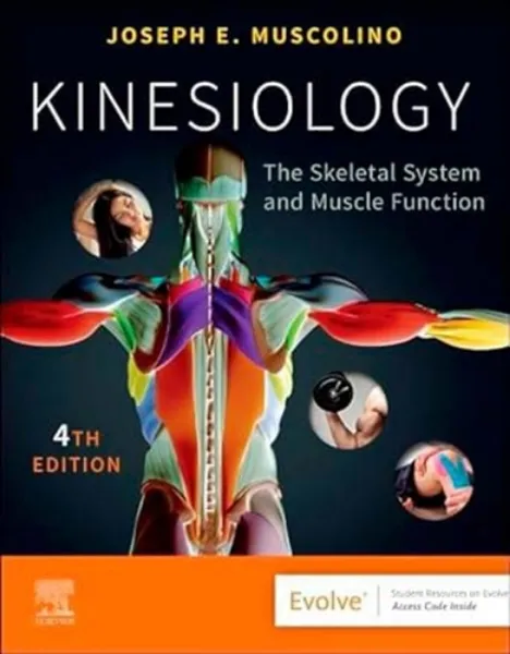 Imagem de Kinesiology: The Skeletal System and Muscle Function