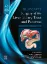 Imagem de Blumgart's Surgery of The Liver, Biliary Tract And Pancreas
