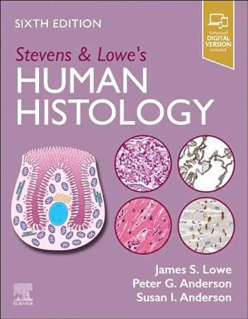 Imagem de Stevens & Lowe's Human Histology
