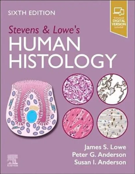 Imagem de Stevens & Lowe's Human Histology