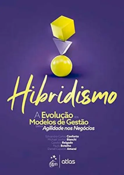 Imagem de Hibridismo - A Evolução dos Modelos de Gestão para Agilidade nos Negócios