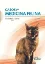 Imagem de Casos em Medicina Felina