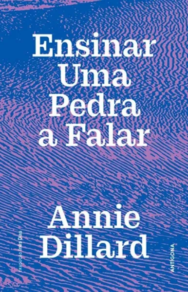 Imagem de Ensinar uma Pedra a Falar