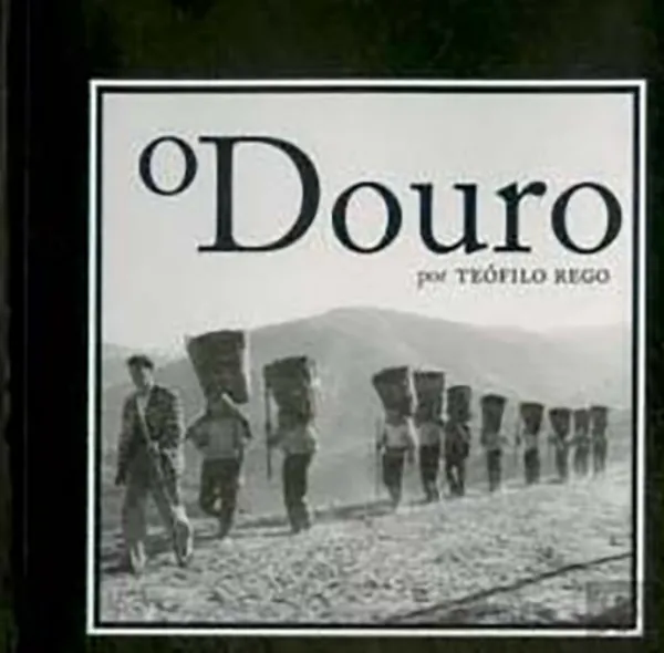 Imagem de O Douro por Teófilo Rego