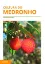 Picture of Book Cultura do Medronho