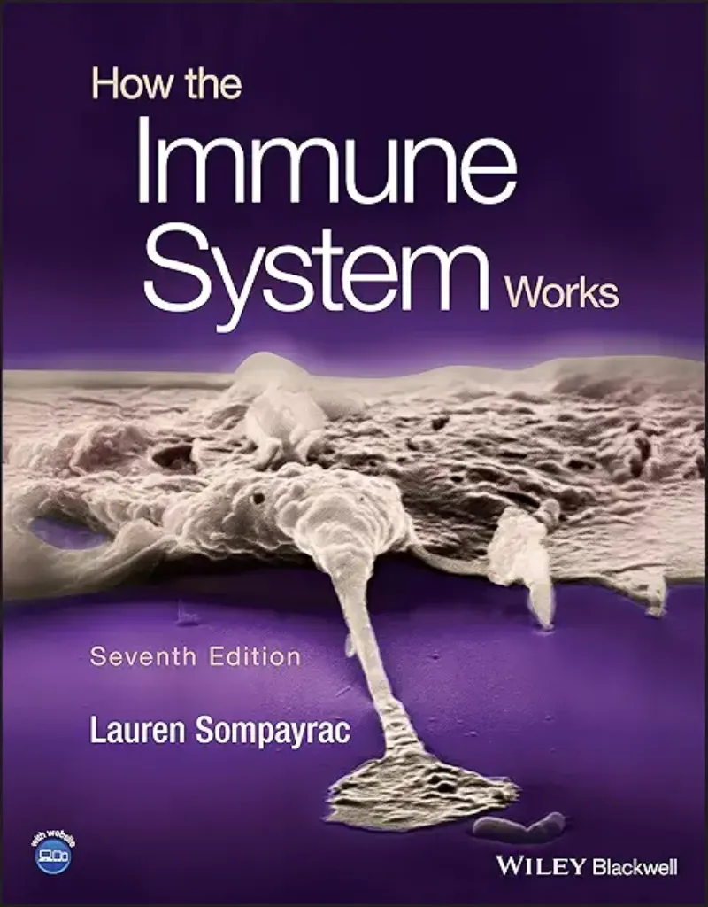 Imagem de How the Immune System Works