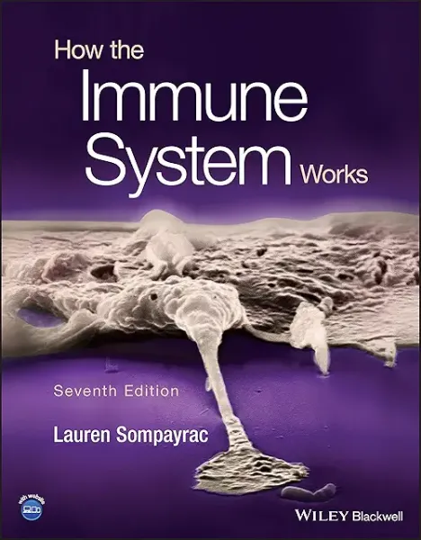 Imagem de How the Immune System Works
