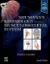 Imagem de Neumann's Kinesiology of Musculoskeletal System
