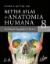 Picture of Book Netter - Atlas Anatomia Humana