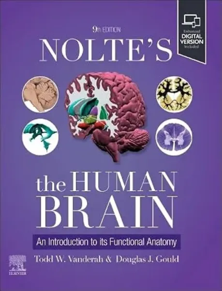 Imagem de Nolte's the Human Brain