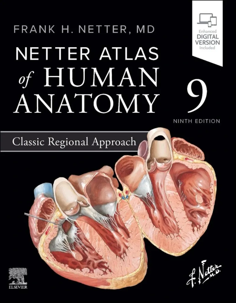 Imagem de Netter Atlas of Human Anatomy: Classic Regional Approach